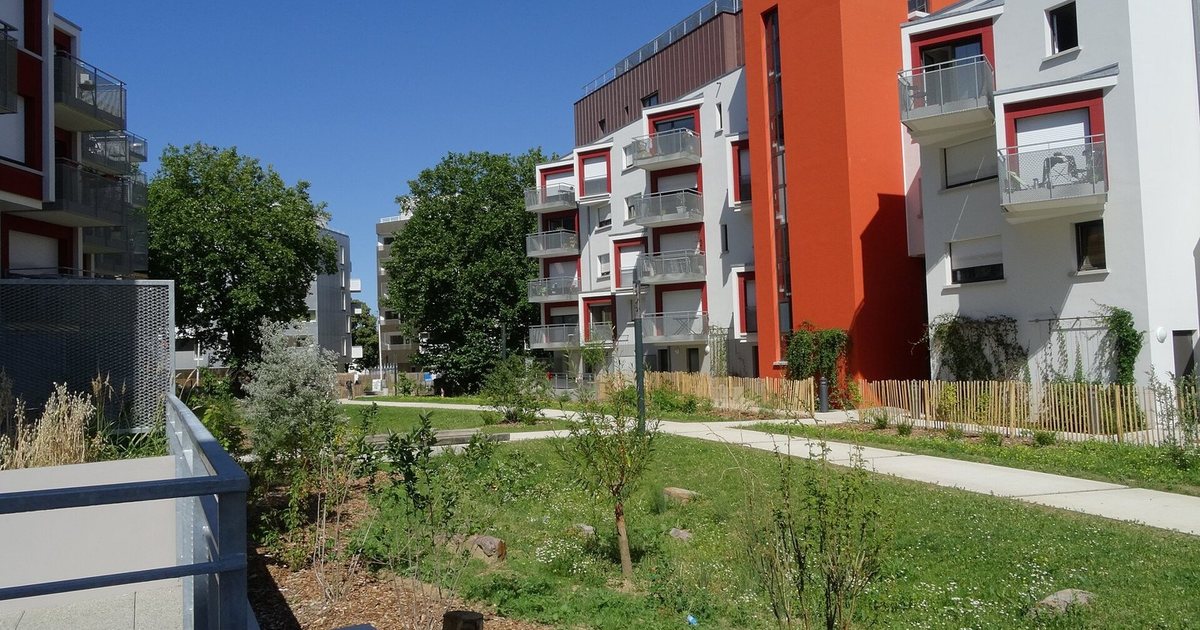 Logement intermédiaire après le Pinel : ce qui a pris le relais en 2026
